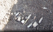 Clearing land mines may cause lasting environmental damage, study says